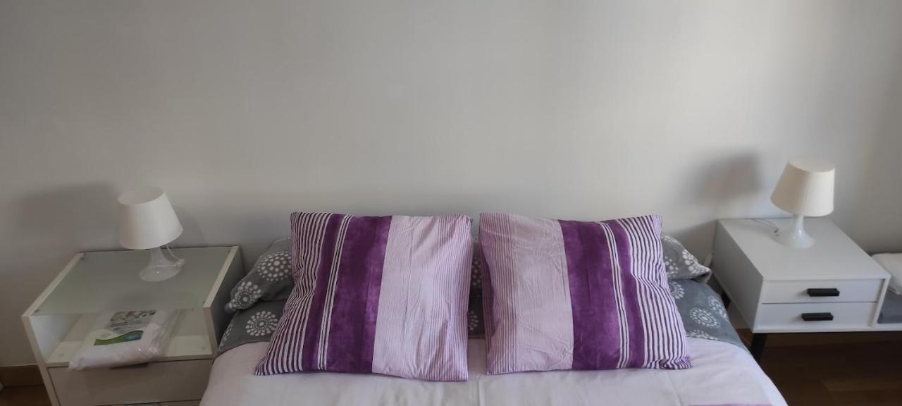 Appartement Acogedor Y Centrico Apartamento, En Centro De Sf Burgo